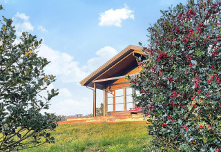 Casa de vacaciones de madera en Hjelmeland, rodeada de arbustos con bayas rojas y cielo azul claro.