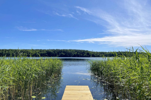 Træbro ved en sø med siv og blå himmel ved Lakeside Cabin Retreat i Sollentuna, Sverige.