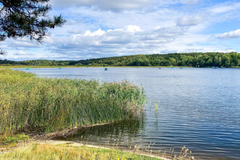 Blick über den See vom Lakeside Cabin Retreat in Sollentuna, Schweden, mit Schilf und Wald.