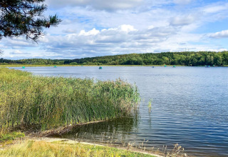 View of the lake from Lakeside Cabin Retreat in Sollentuna, Sweden, with reeds and forested hills.