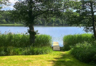 Vista al lago y muelle entre árboles en Lakeside Cabin Retreat en Sollentuna, Suecia, durante el verano.