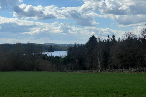 Vista di prato verde, bosco e lago sotto un cielo nuvoloso dalla casa vacanze 4 stelle a Hestra, Svezia.