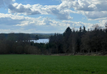 Udsigt over grøn mark, skov og sø under en himmel med skyer, taget fra 4-stjernet feriehus i Hestra, Sverige.