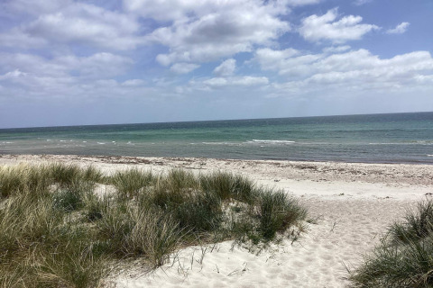 Beach view with sand dunes and grass under a partly cloudy sky at Idestrup, Denmark.