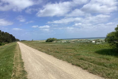 Camino de grava junto a campos y vistas al mar cerca de una casa de vacaciones en Idestrup, Dinamarca.