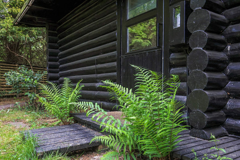 Ingang van zwart houten lodge in Idestrup, Denemarken, omgeven door felgroene varens in de zomer.