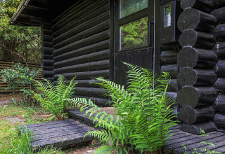 Entrée d’un chalet en bois noir à Idestrup, Danemark, entouré de fougères vertes lors de l’été.