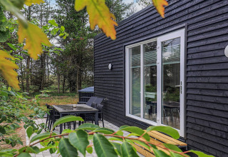 Cabaña negra en Pandrup, Dinamarca, con terraza exterior, muebles de jardín y vista al bosque verde.