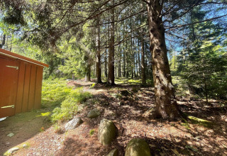 Zonnig bos naast een rood hutje dichtbij het Furufjall-wandelpad in Zweden, met bomen en rotsen.