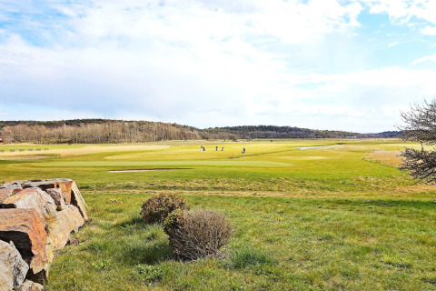 Uitzicht op een groene golfbaan met spelers vlakbij het Furufjall-pad in Zweden.