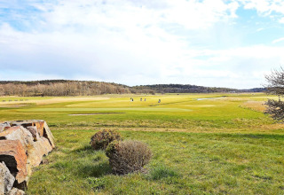 Vista di un campo da golf verde con giocatori e alberi vicino al sentiero Furufjall in Svezia.