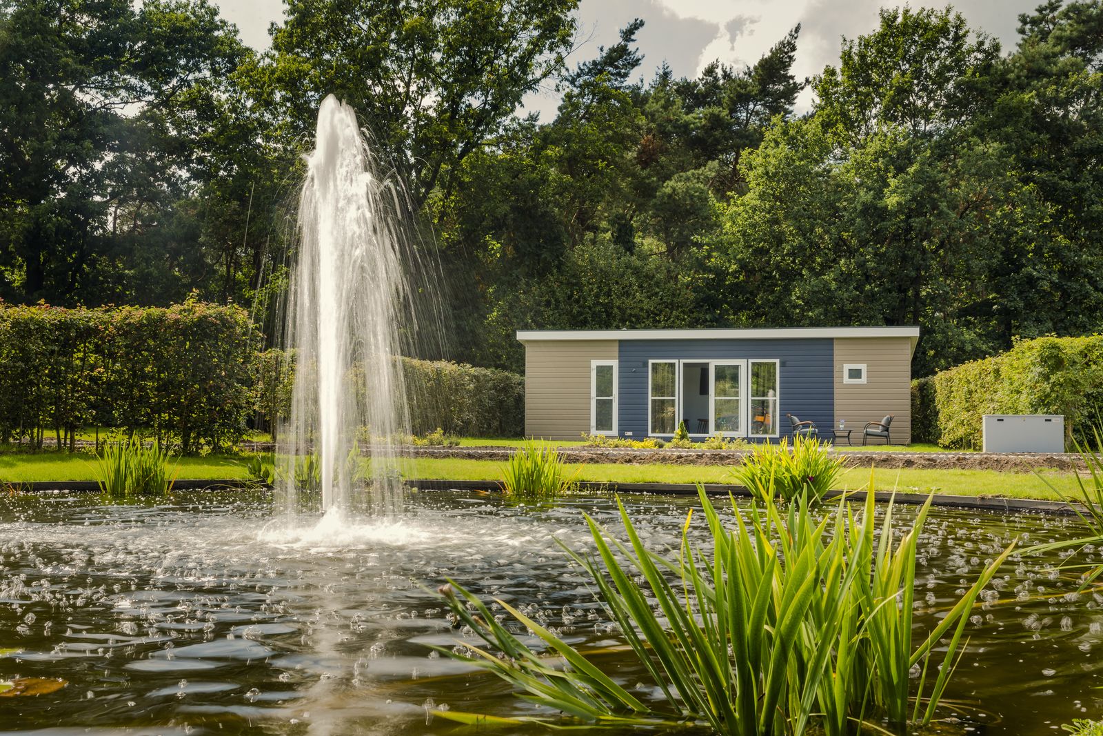 «Cosy cabin»