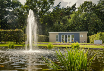 Knusse cabin met modern design, grote fontein en vijver in de tuin, omringd door groene bomen.