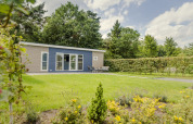 Accogliente cabina al Vakantiepark Hölte nei Paesi Bassi con prato verde, patio e alberi sullo sfondo.