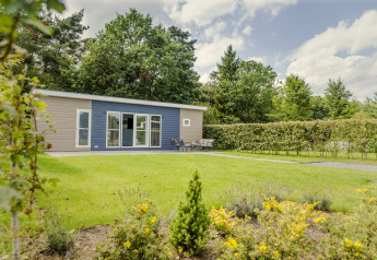 Knusse cabin op Vakantiepark Hölte in Nederland met tuinstoelen, grasveld en bosrijke achtergrond.