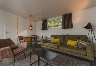 Modern living room in a cosy cabin at Vakantiepark Hölte, Netherlands, with green sofa and decor accents.