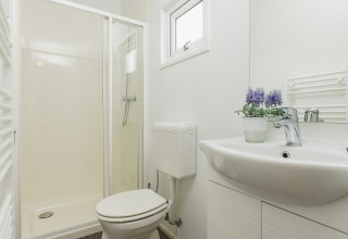 Salle de bain moderne dans un chalet cosy au Vakantiepark Hölte aux Pays-Bas, avec douche et lavabo.