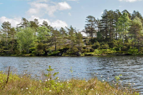 Udsigt over sø og frodigt skovlandskab ved Trollhytta lodge i Danmark med træer og blå himmel.
