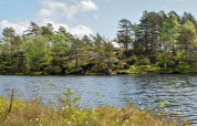 Vue sur un lac et paysage forestier luxuriant près du lodge 76409 TROLLHYTTA au Danemark.