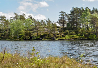 Vue sur un lac et paysage forestier luxuriant près du lodge 76409 TROLLHYTTA au Danemark.