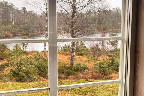 Udsigt fra vinduet i lodge 76409 TROLLHYTTA i Danmark med skov, sø og træer i efterårsfarver.