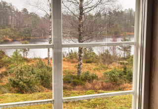 Udsigt fra vinduet i lodge 76409 TROLLHYTTA i Danmark med skov, sø og træer i efterårsfarver.