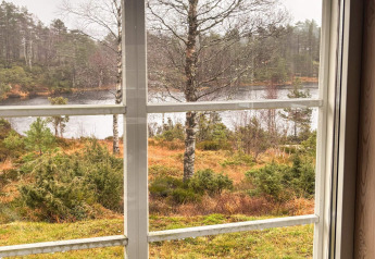 Vue par la fenêtre du lodge 76409 TROLLHYTTA au Danemark, forêt, lac et couleurs automnales visibles.