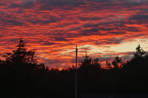 Levendige zonsondergang met feloranje en rode wolken boven het bos bij Seaside Bliss in Albaek, Denemarken.