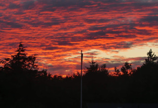 Prachtige zonsondergang met vurige oranje en rode wolken boven het bos bij Seaside Bliss in Albaek, Denemarken.