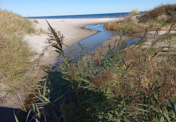 Udsigt til stranden ved Seaside Bliss i albaek, Danmark, med klitter, græs og blå himmel.