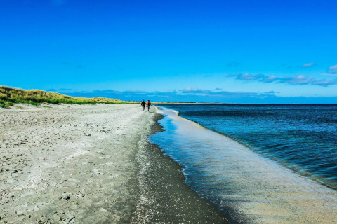 Brede zandstrand en helderblauwe zee bij Seaside Bliss in albaek, Denemarken, met mensen aan het wandelen.