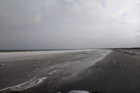 Kystlandskab ved «Seaside Bliss in albaek» i Danmark med skyer og rolig strand ved havet.