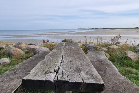 Træbord og bænk ved stranden på Seaside Bliss i Albaek, Danmark, med udsigt over hav og himmel.