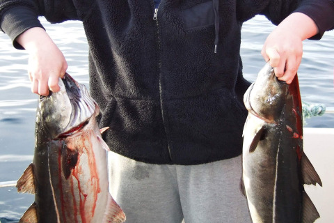 Persona a Engvik Hytta 83699 in Svezia tiene due grossi pesci, in piedi sull’acqua con abiti casual.