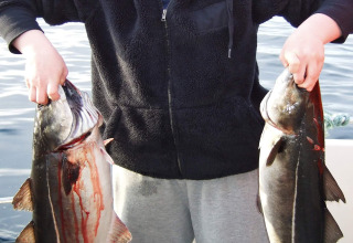 Persona a Engvik Hytta 83699 in Svezia tiene due grossi pesci, in piedi sull’acqua con abiti casual.