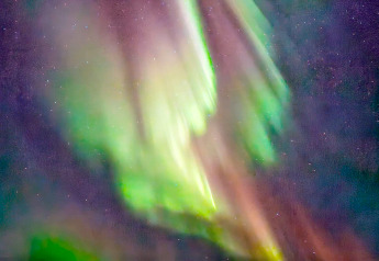 Noorderlicht in groene en paarse tinten, vastgelegd bij ENGVIK HYTTA 83699 onder de Zweedse nachtelijke hemel.