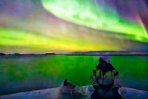 Persona davanti alla ENGVIK HYTTA 83699 in Svezia che osserva l'aurora boreale nel cielo notturno.