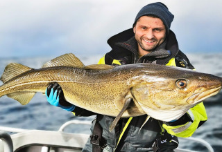 Uomo con abbigliamento da pesca tiene un grosso merluzzo vicino a ENGVIK HYTTA 83699 in Svezia.