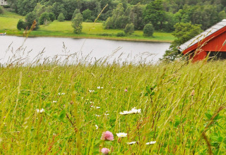Udsigt over en eng med vilde blomster, en sø og et rødt hus nær Frändefors, Sverige, om sommeren.
