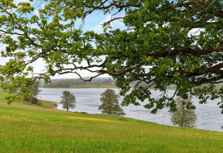 Pradera verde junto a un lago y árboles, vista desde una casa de vacaciones para 4 personas en Frändefors, Suecia.