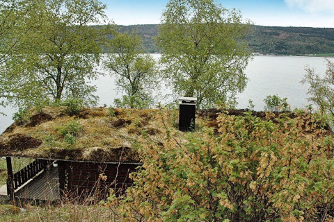 Chalet met groendak aan het meer in Zweden, omringd door bomen en zicht op het water.