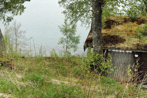 Groen chalet met grasdak aan het meer in Surna, Zweden, omgeven door bomen en weelderig groen.