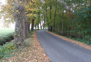 Strada di campagna tranquilla con foglie autunnali vicino alla casa vacanze per 6 persone a Øster Assels, Danimarca.