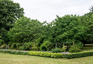 Tuinzicht bij 6-persoons vakantiehuis in Øster Assels, Denemarken, met bomen, struiken en grasveld.