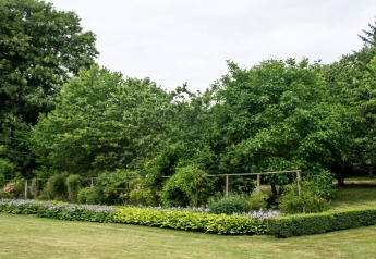 Tuin aan vakantiehuis voor 6 personen in Øster Assels, Denemarken, met veel groen en grasveld.