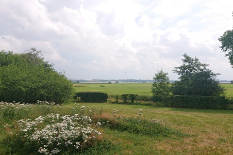 Udsigt fra 6-personers feriehus i Øster Assels, Danmark, over grønne marker, buske og blomster.