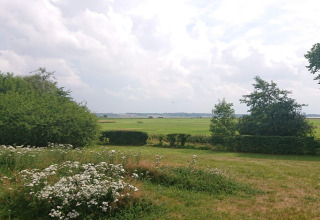 Zicht vanuit 6-persoons vakantiewoning in Øster Assels, Denemarken, op groene velden en struiken.