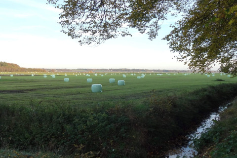 Vista de un campo con balas redondas de heno junto a una casa de vacaciones en Øster Assels, Dinamarca.