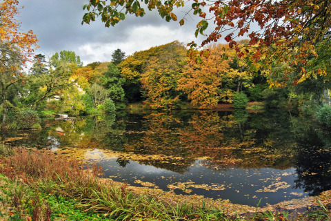 Paysage d’automne avec étang et arbres colorés près d’un gîte à Øster Assels, Danemark.