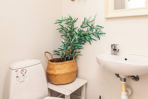 Hoek van een badkamer met toilet, wasbak en plant in mand in het Øster Assels vakantiehuis, Denemarken.